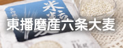 東播磨産六条大麦